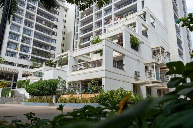 Whitefield