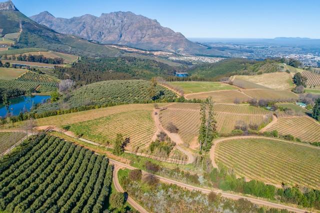 Boutique Vineyard in Prime Location